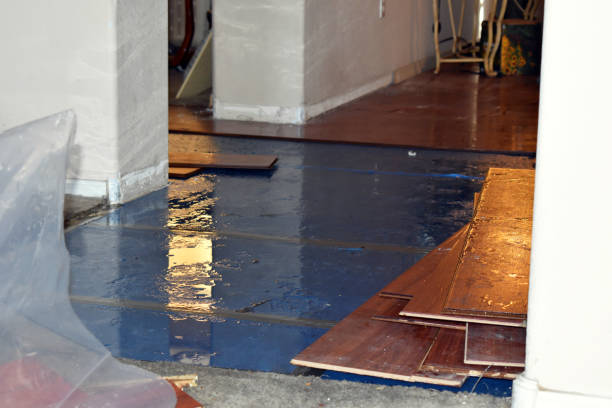 Professional Water Damage Restoration technician working in Glendale, MS
